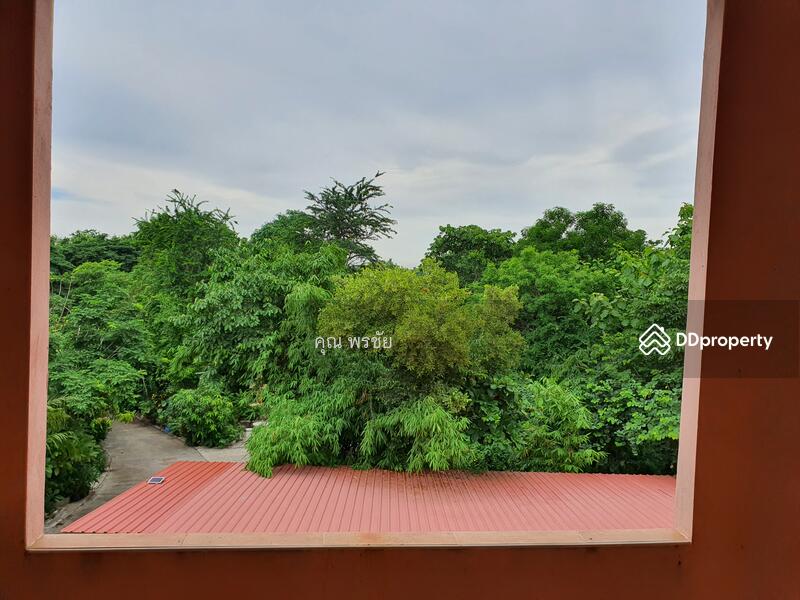 ขายอาคารพาณิชย์ วัดพนัญเชิง, พระนครศรีอยุธยา, 9/11 3477, กะมัง, พระนครศรีอยุธยา, พระนครศรีอยุธยา, 250 ตร.ม., ตึกแถว-อาคารพาณิชย์ ขาย, โดย คุณ พรชัย, 9996703 - DDproperty.com