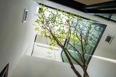 ขาย - HOMU : โฮมุ, กรุงเทพ