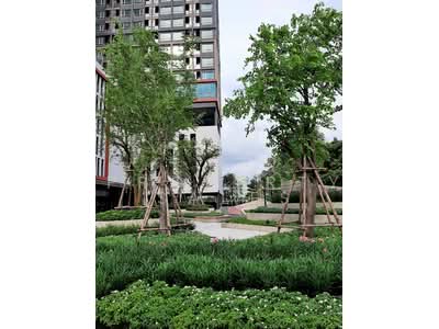 ขาย - Niche Mono Chaengwattana : นิช โมโน แจ้งวัฒนะ, นนทบุรี