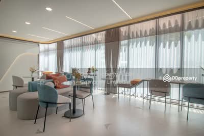 ขาย - Brixton Pet&Play Phahol 50 Station : บริกซ์ตัน เพ็ทแอนด์เพลย์ พหลฯ 50 สเตชั่น, กรุงเทพ