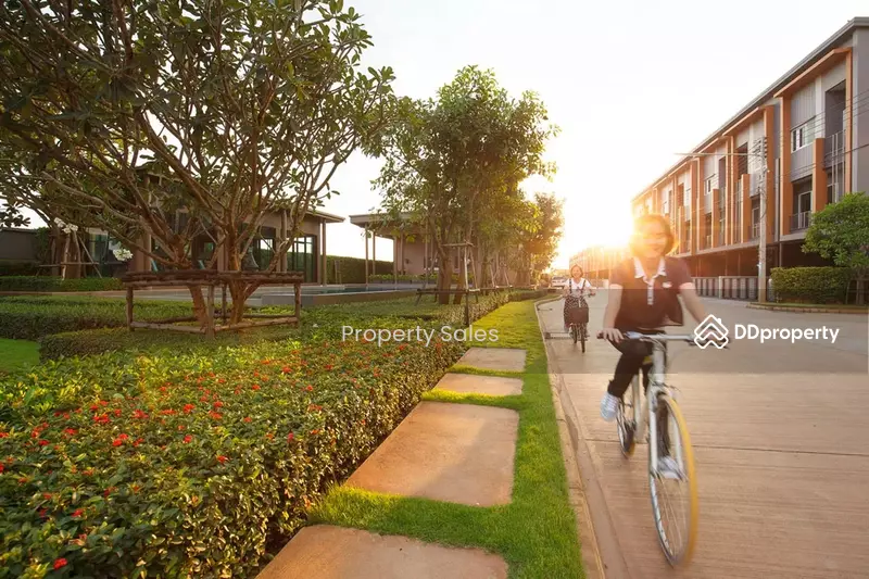 For Sale - Town Avenue Songkwae-Phitsanulok, Phitsanulok