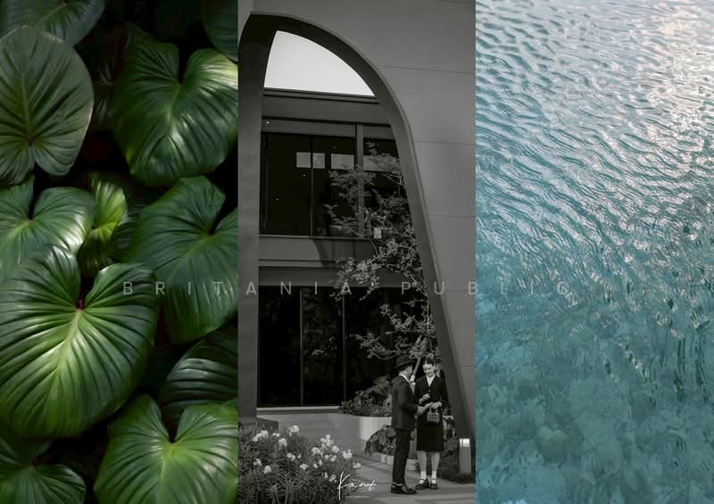 ขาย - Belgravia Exclusive Ratchaphruek-Rama 5 : เบลกราเวีย เอ็กซ์คลูซีฟ ราชพฤกษ์-พระราม 5, นนทบุรี